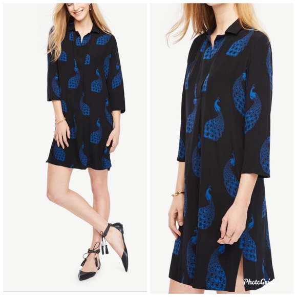 Ann Taylor Dresses & Skirts - Ann Taylor Peacock Print Shift Dress Large Petite